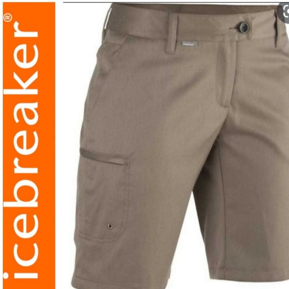 COPY - Icebreaker shorts size 27